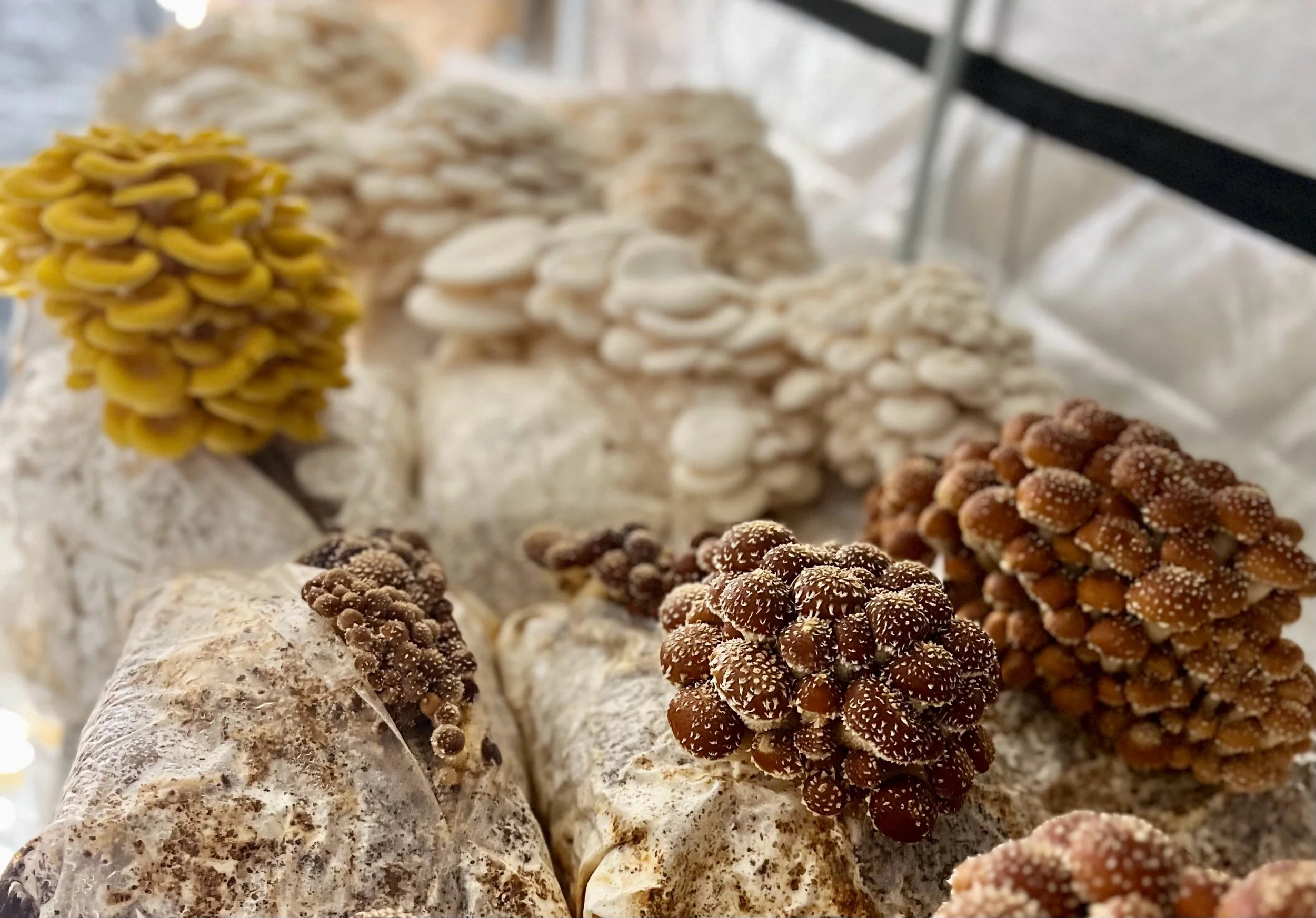 729BE27E-7D56-4839-8858-CD0385CA6044