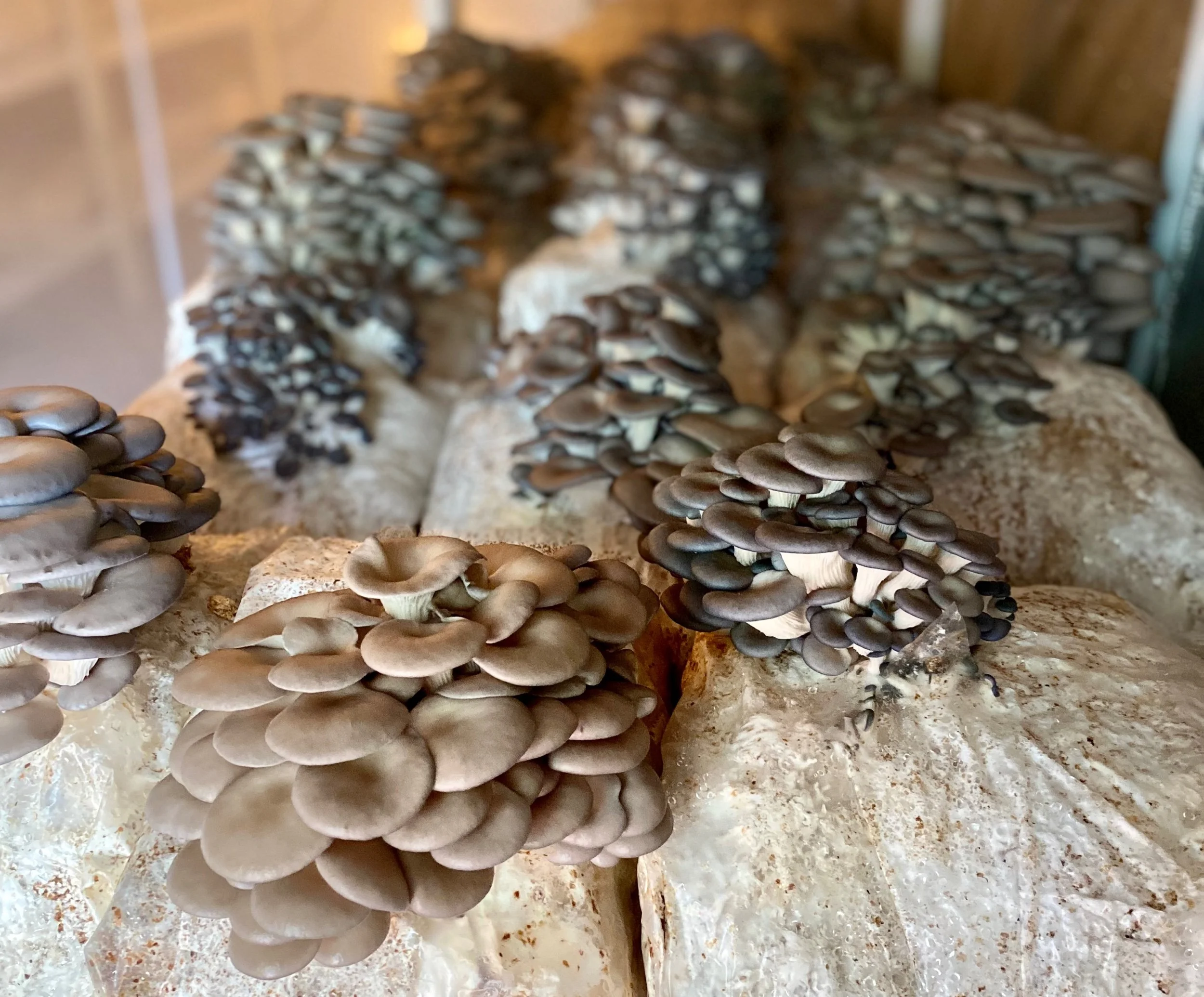 42D212F9-BD2B-4543-95A5-F3DE05ECC769