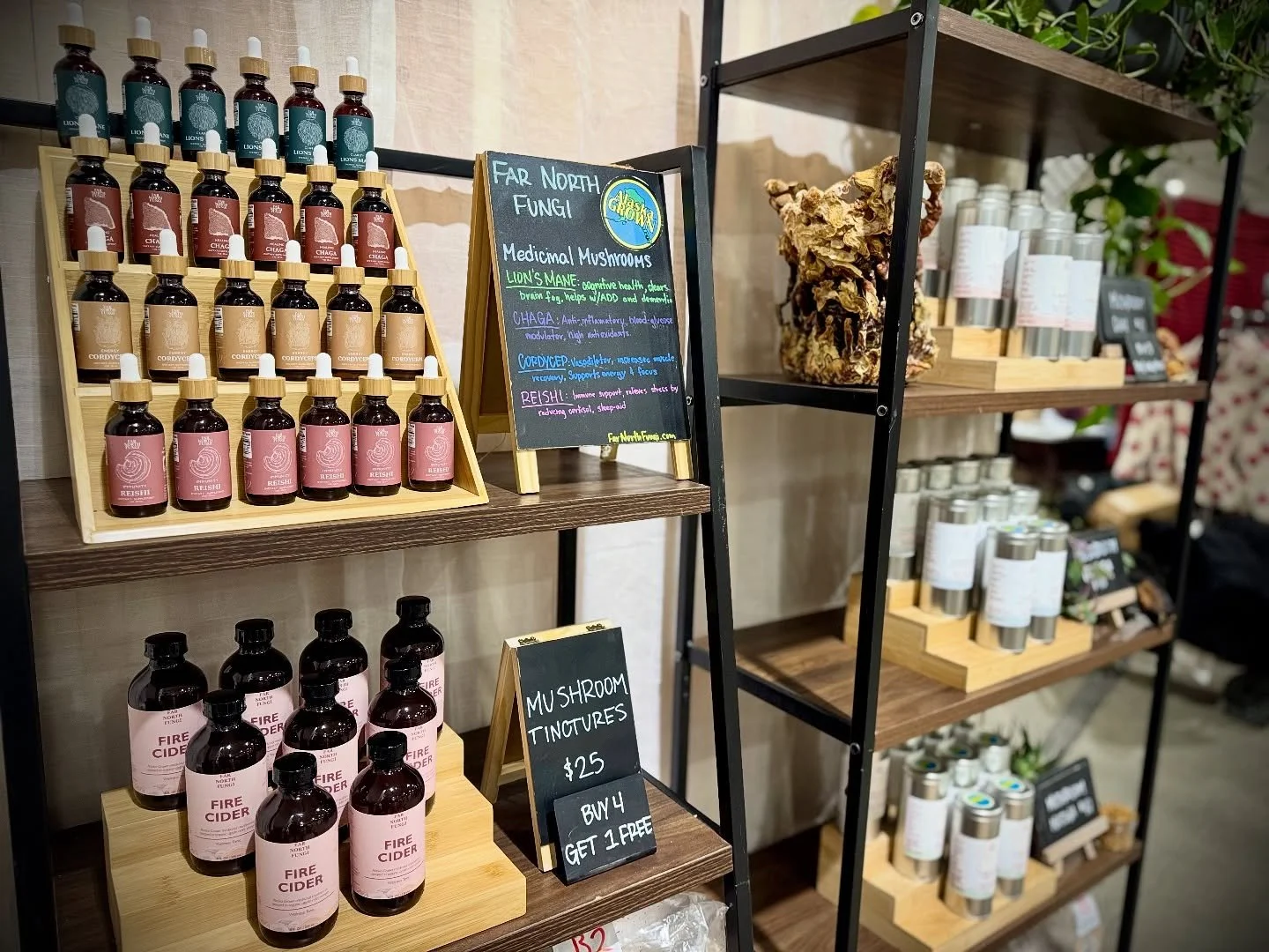 We are back at the Alaska Vintage Market this weekend!!! Be sure to swing by our booth and try our yummy hot cocoa, stare at some beautiful mushrooms, and learn all about your favorite mushroom farm. We are bringing new grow kits every day, please dm