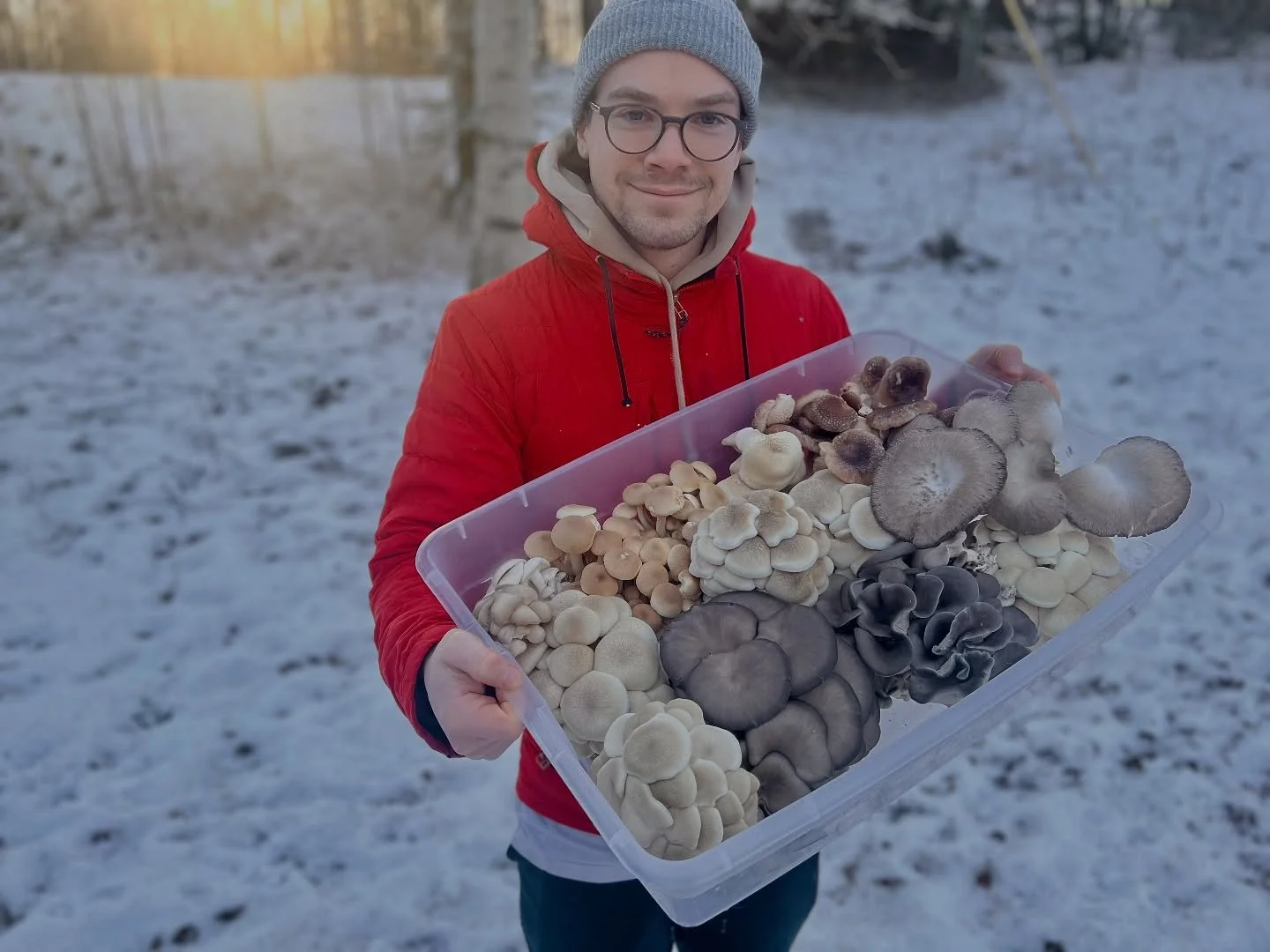 There may be snow on the ground, but we still have lots of fresh mushrooms for you! We are at TWO markets this Saturday. The usual Bells Nursery 10-3 and our favorite Makers Market at APU 11-4. Most fresh will be at Bells and will include Shimejis, C