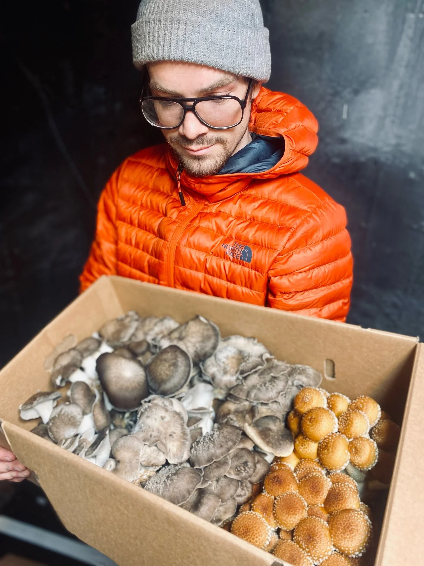 LAST MARKET ALERT 🚨 The final South Anchorage Farmers Market at Bell&rsquo;s Nursery is this Saturday 10-3. We have beautiful shiitakes, shimejis, enokis, oysters, lions mane, chestnuts, and limited pioppino. I am bringing extra cocoas and chais for