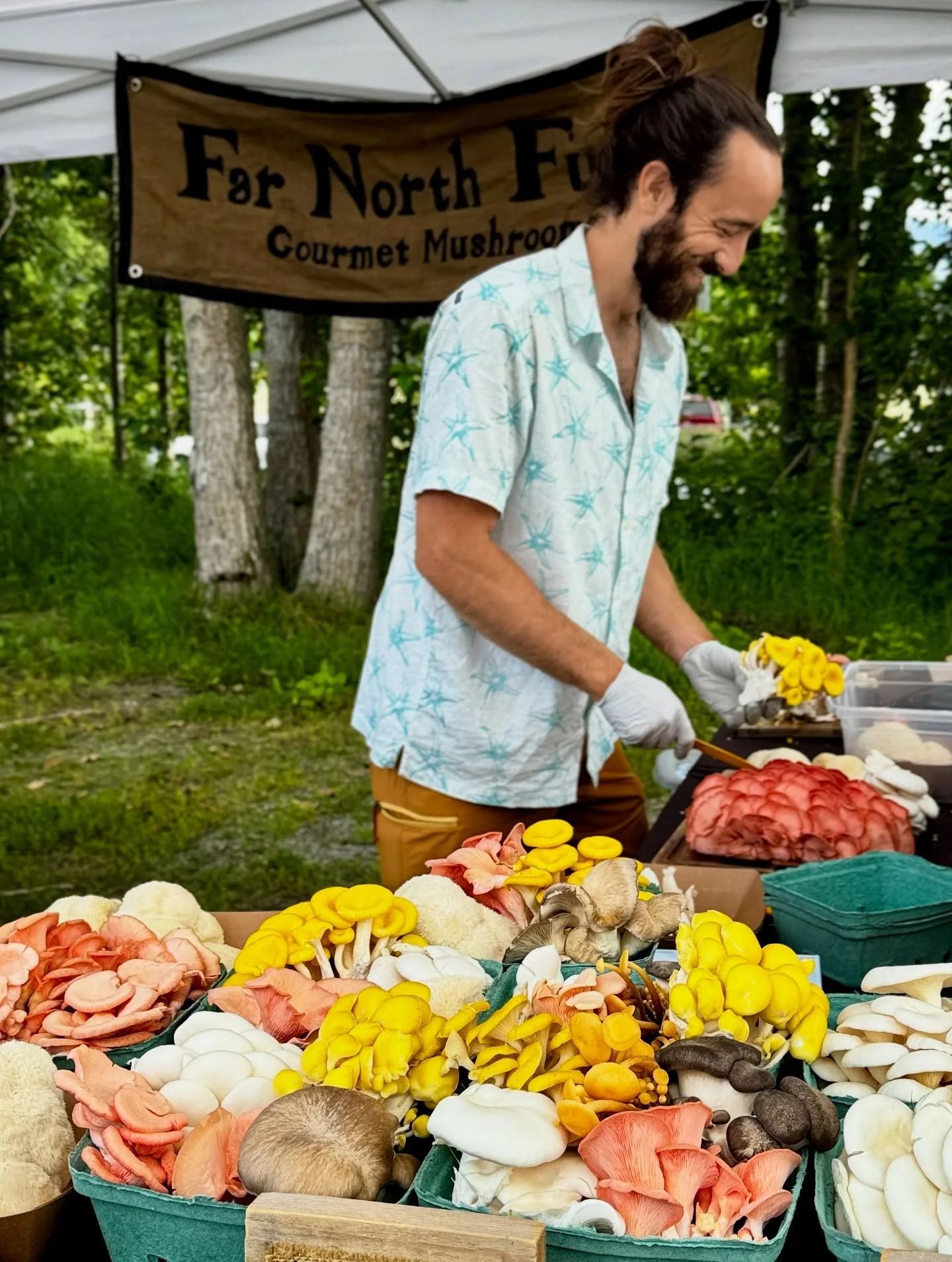 Matanuska Community Farmers Market Wednesday 4-7! This is the second to last chance to see us at Wednesday Market. We are fully stocked on your favorite mushroom cocoa, chai, matcha, jerky, tinctures, and grow kits. We also have an abundance of fresh
