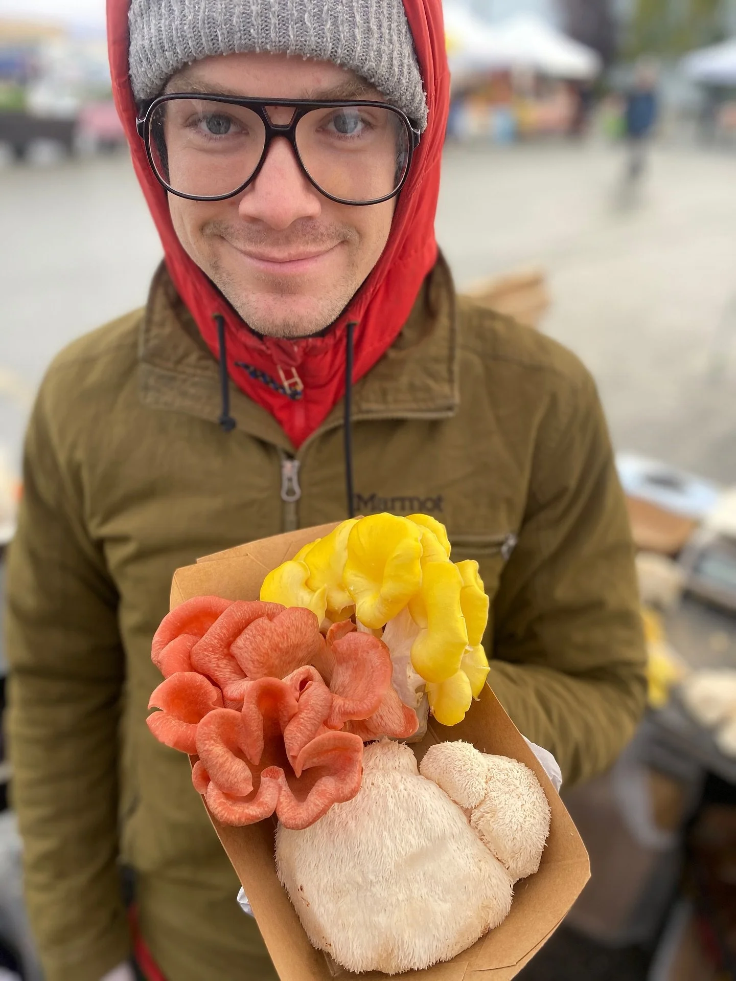 Market has officially moved indoors. Come find us inside Bell&rsquo;s Nursery every Saturday 10-3 through December! This week we have your favorite chestnuts, beautiful blue, pink, gold and white oysters, enokis, lions mane, pioppino, limited shimeji