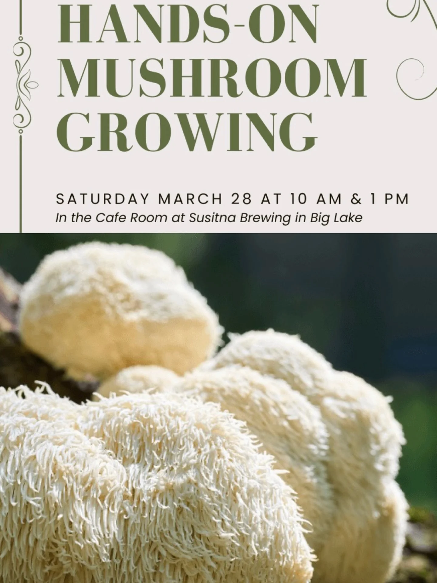 First Cultivation Workshop of the season!!! Saturday the 28th we are offering two grow it yourself workshops where you will learn all the ins and outs of growing mushrooms. Each person will make their own lion&rsquo;s mane or blue oyster grow kit to 