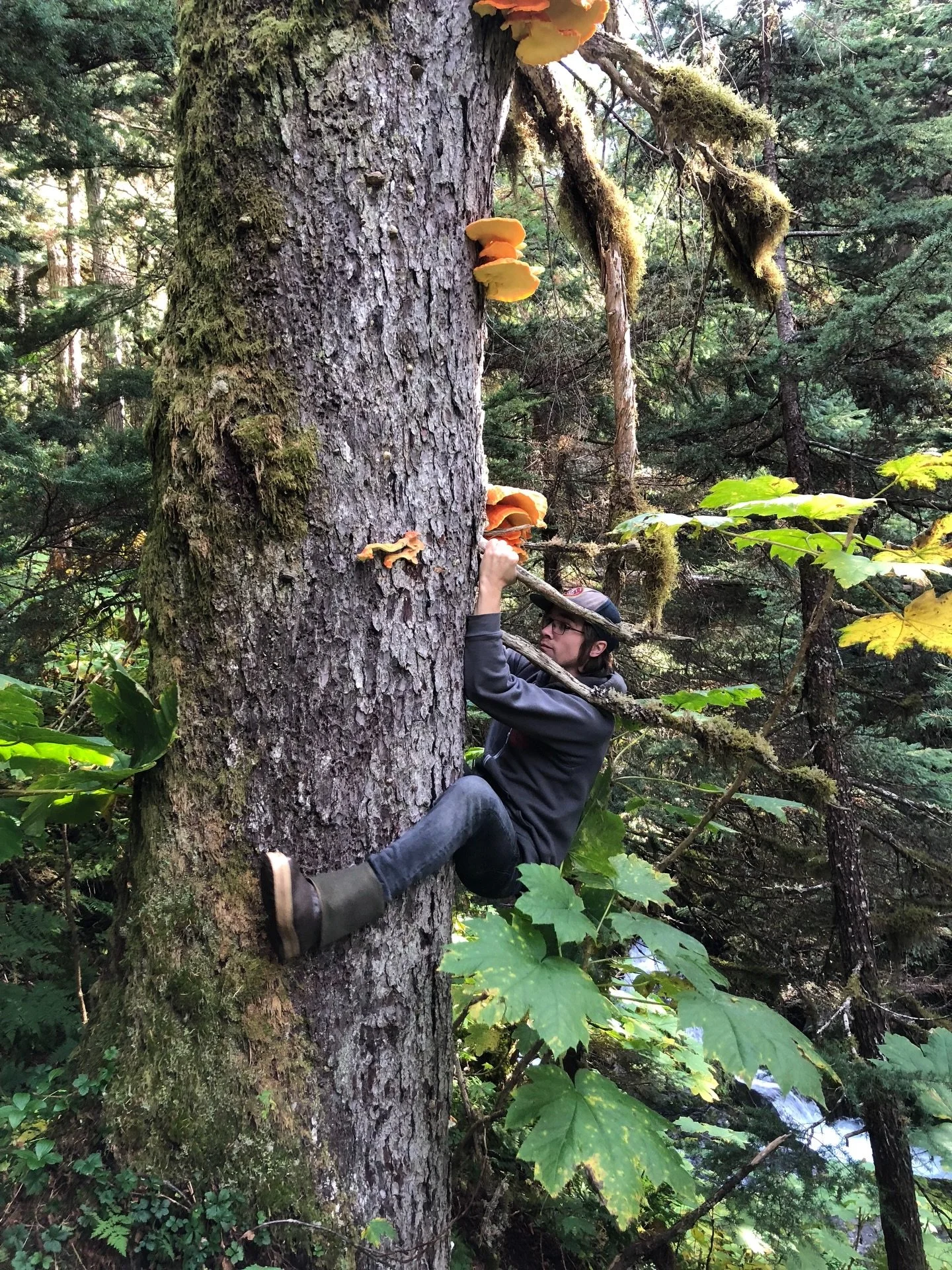 Happy Earth Day from Far North Fungi! 🌎