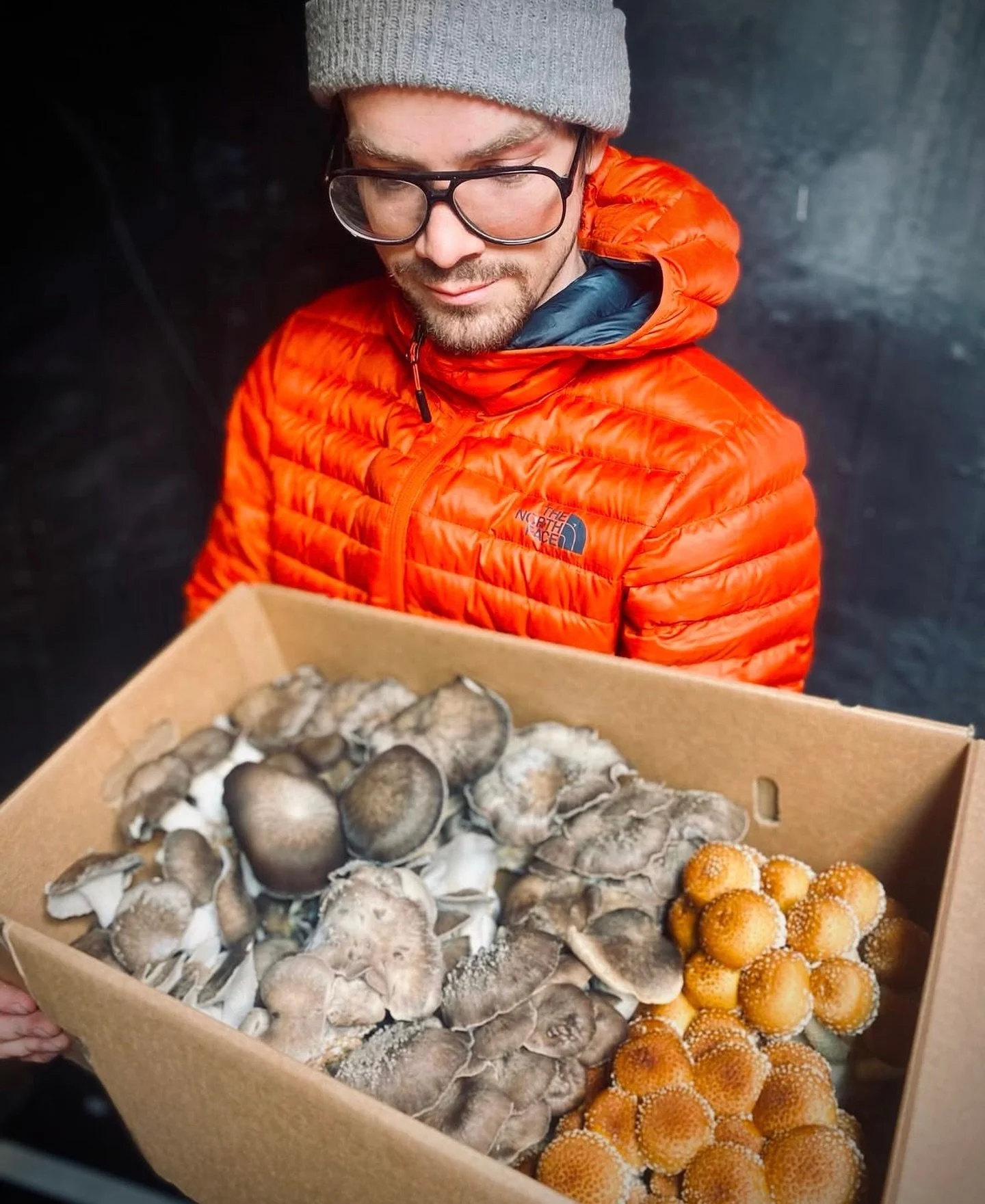 Go see Gabe at the Bell&rsquo;s Nursery Market Saturday 10:30-3! He has a fresh batch of your favorite mushroom jerky, a fresh batch of matcha, chai, and cocoa, tinctures, and grow kits! He also has some beautiful chestnuts, enokis, shimejis, pioppin