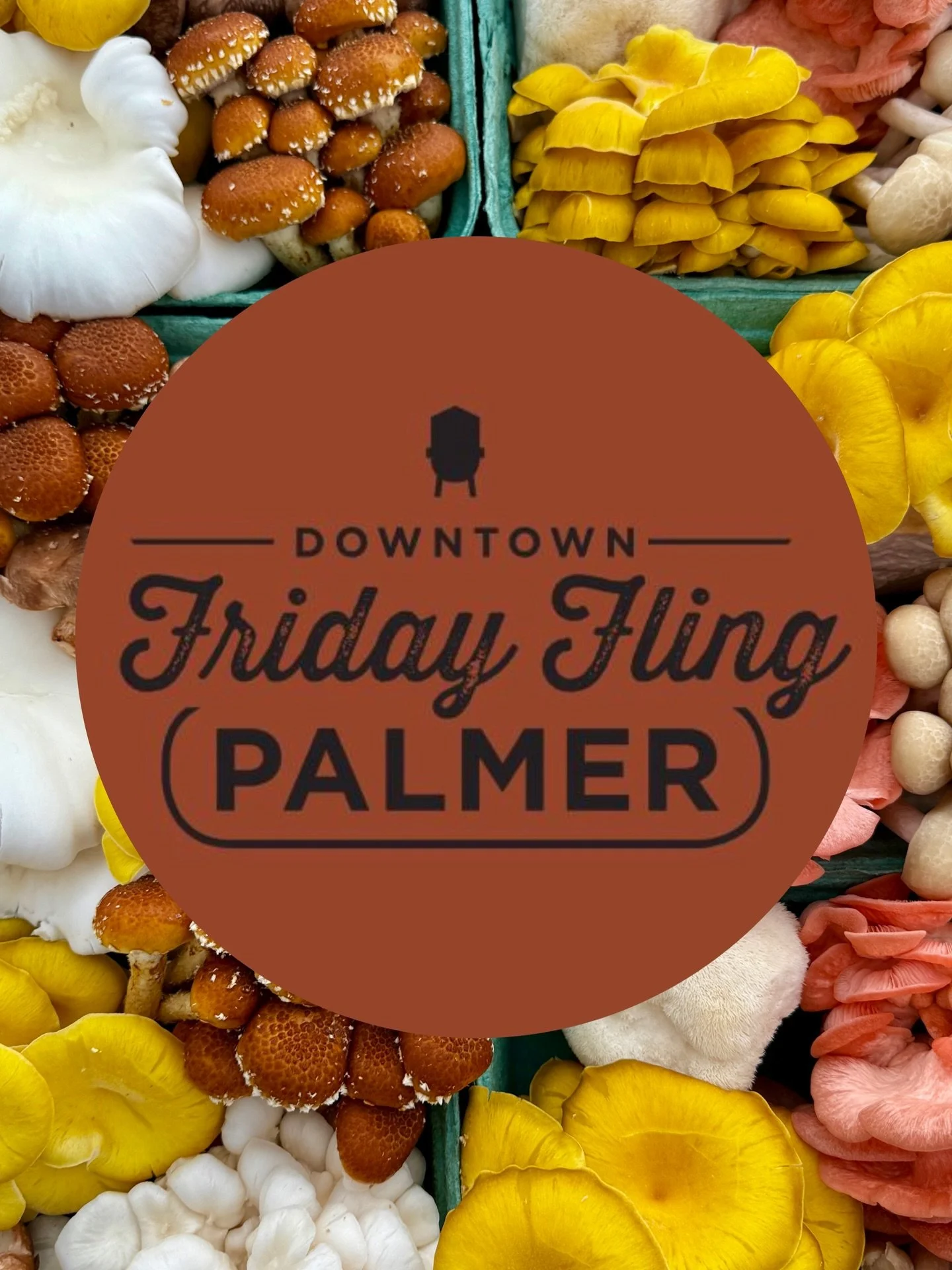 Friday Fling 11-6! We have beautiful fresh mushrooms, cocoa, chai, matcha, fire cider, tinctures, and grow kits. Come down and enjoy downtown Palmer. There are so many amazing vendors, delicious food trucks, and live music. We look forward to seeing 