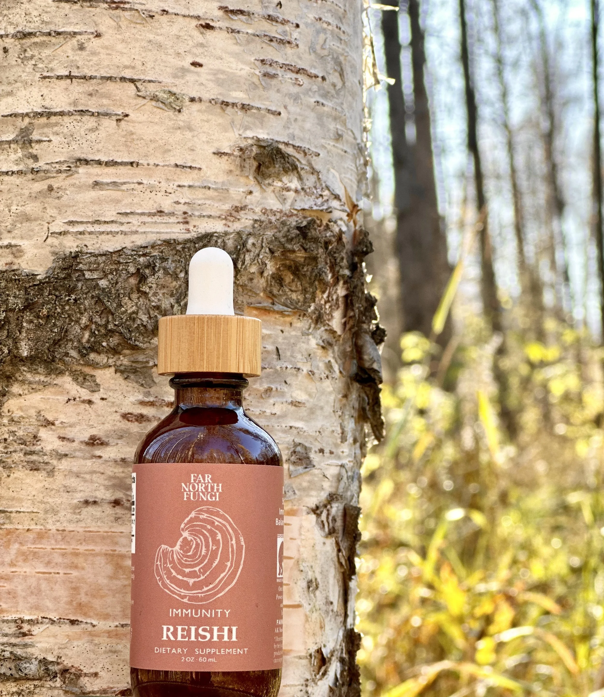 Reishi-Turkey Tail Tincture Subscription