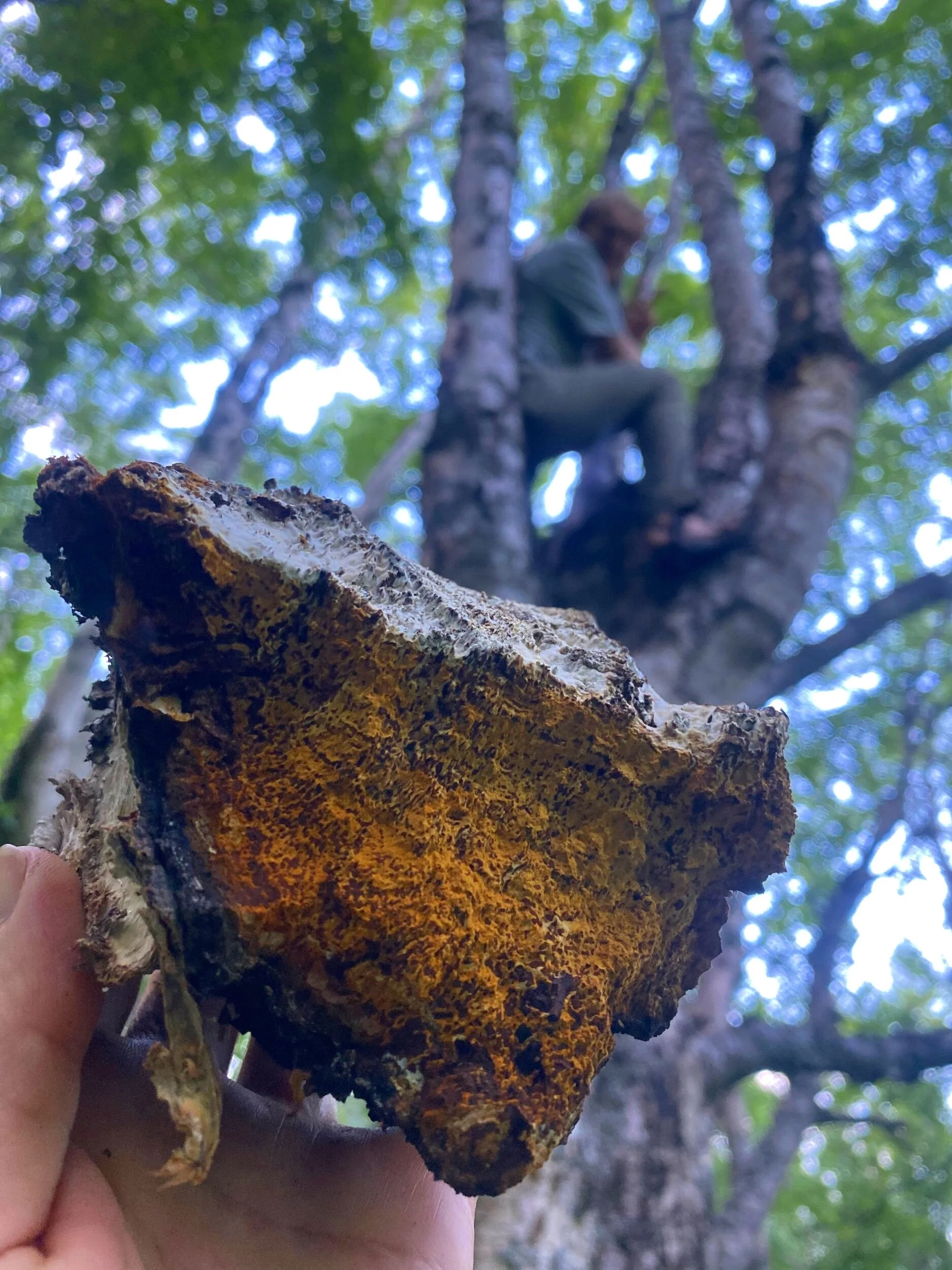 261A6225-E4B2-4A7A-998D-506C5A421D18