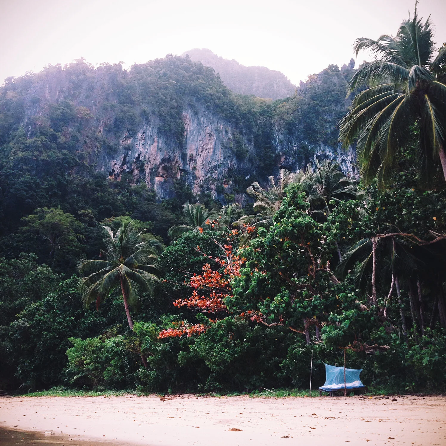 palawan-philippines-lr.jpg