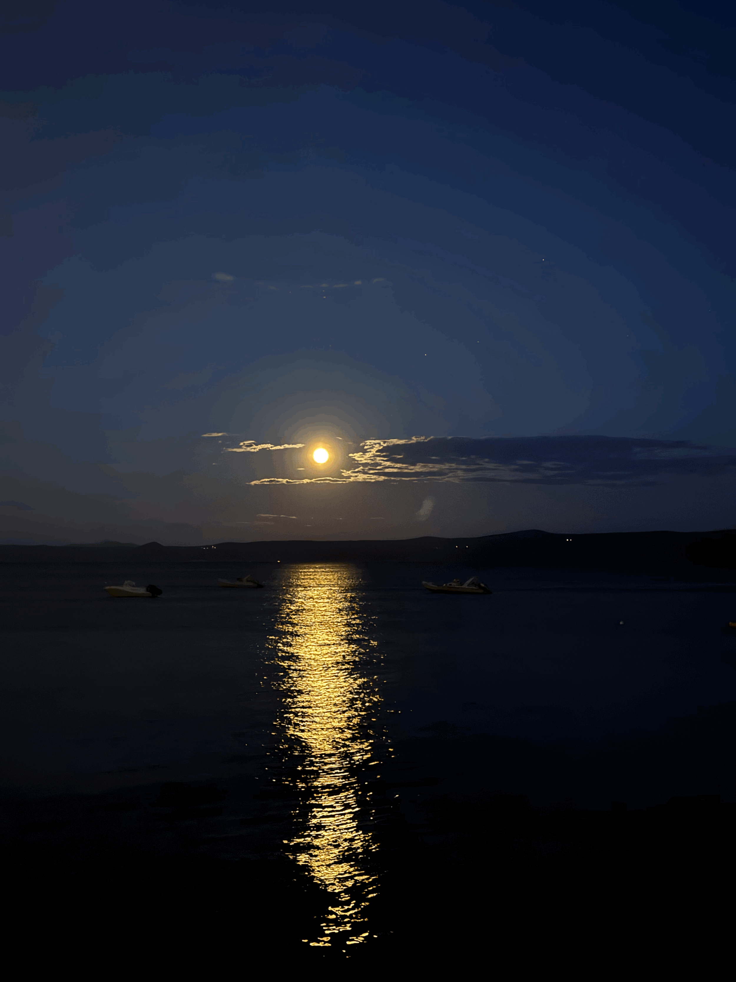 tempImageVTX2Jl.gif
