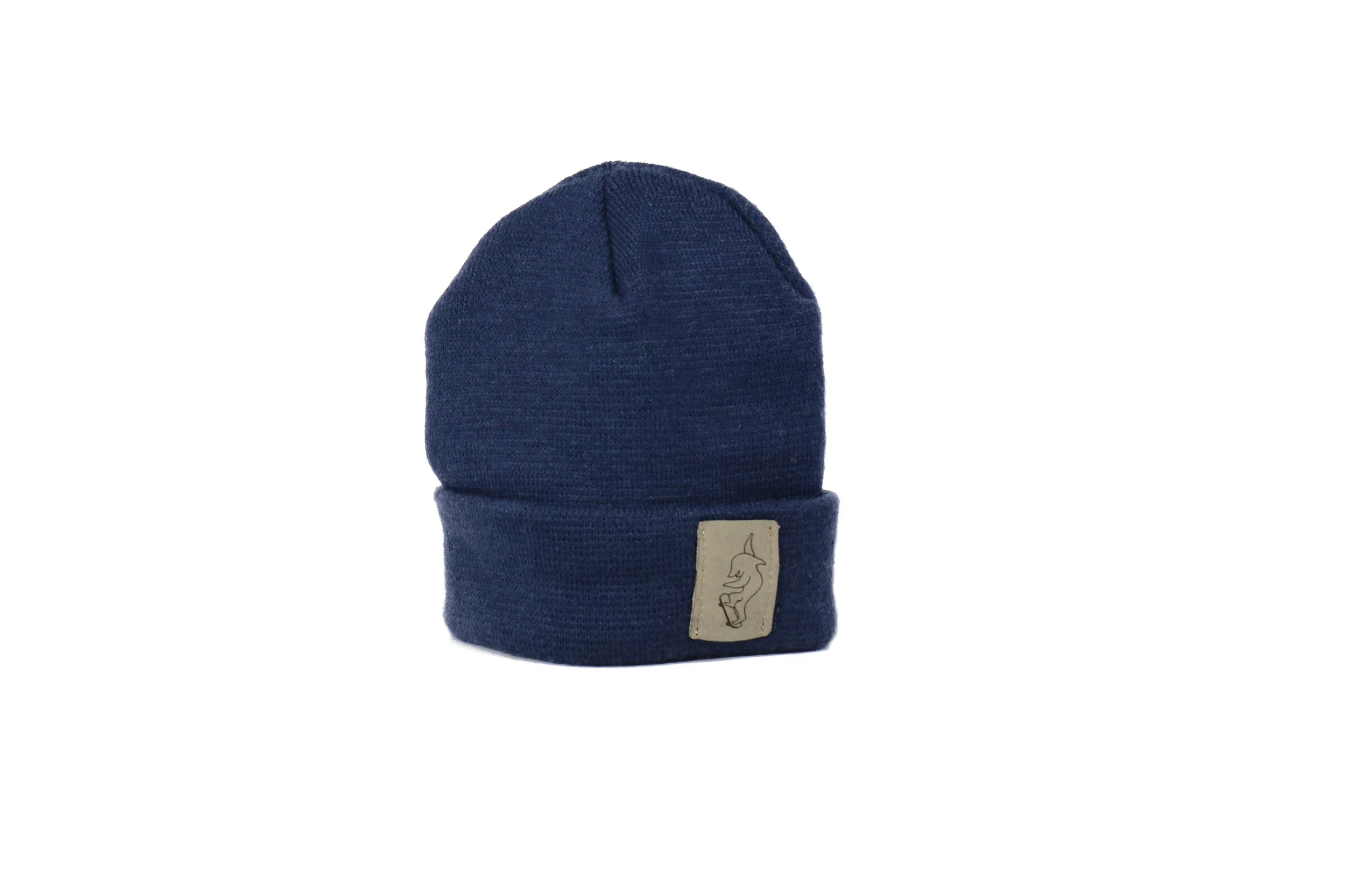Anderson_Dolphin_skate_grey-on-blue.jpg