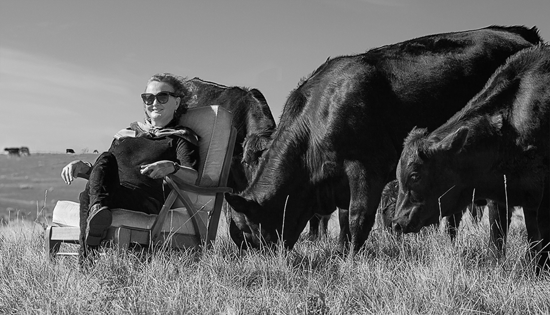SIMMONDS_COCF_St Aire-Moo2_ MPF_9796_print.jpg