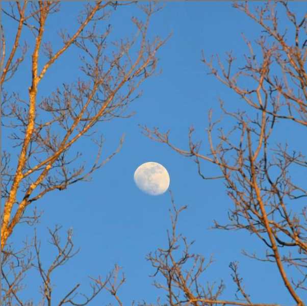 Screen Shot 2021-09-02 at 8.37.43 PM.png