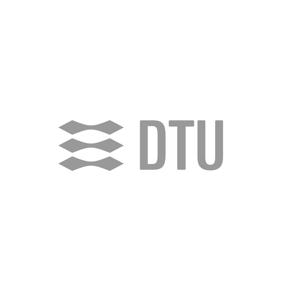 Logos_small_grey_dtu.png