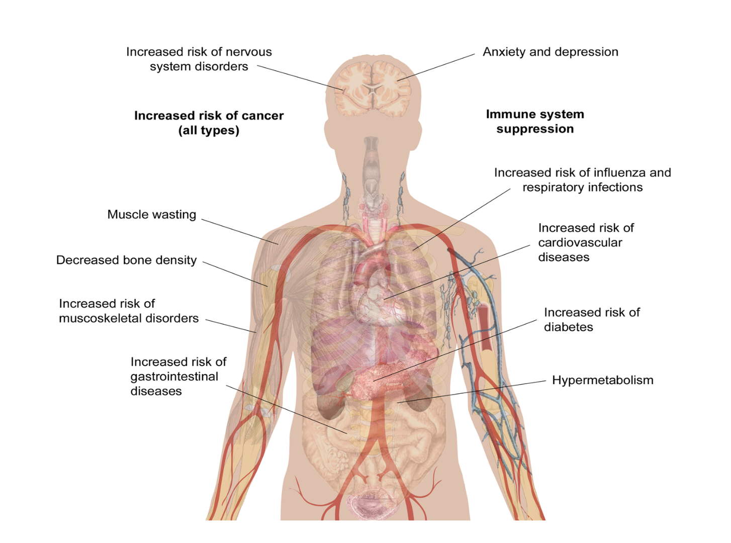 Understanding Acute Burn Injury as a Chronic Disease