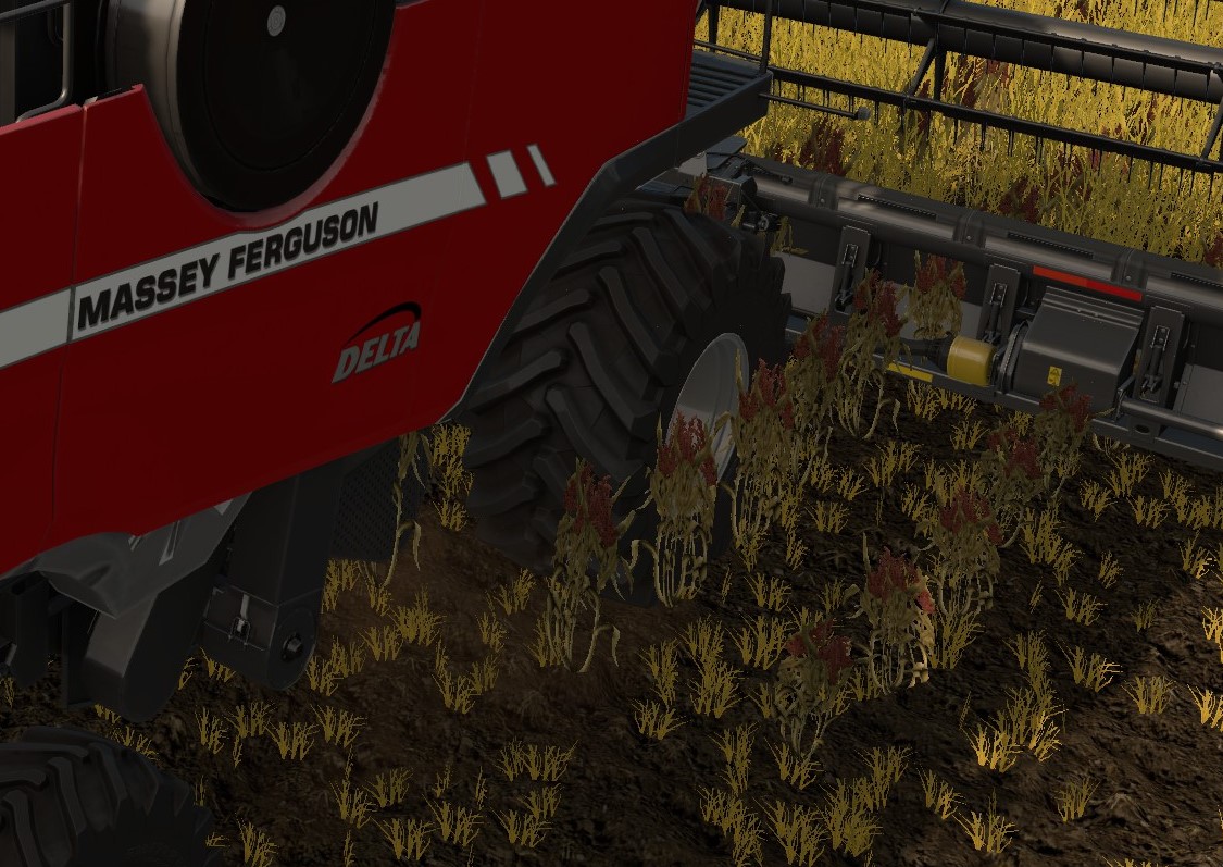 Cutter effect glitch on Massey. a bit hard to see but look at crop running alongside the combine and through the header