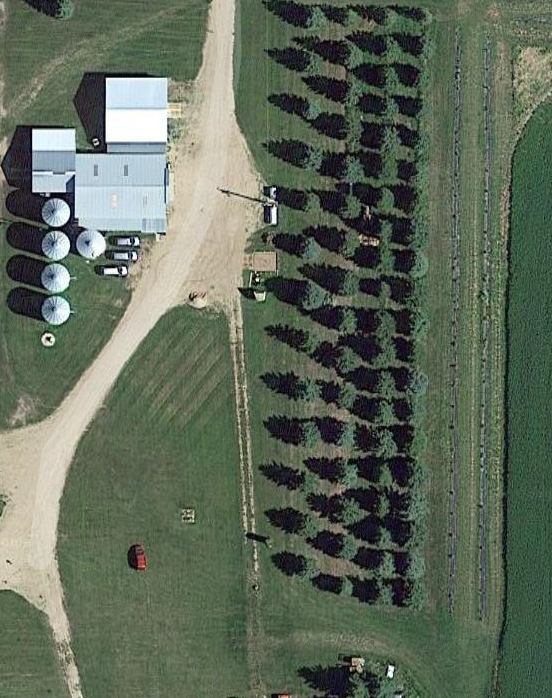 I'm guessing the main purpose of the rows of trees between farm yard and field, and also seen between fields is to help contain soil erosion.