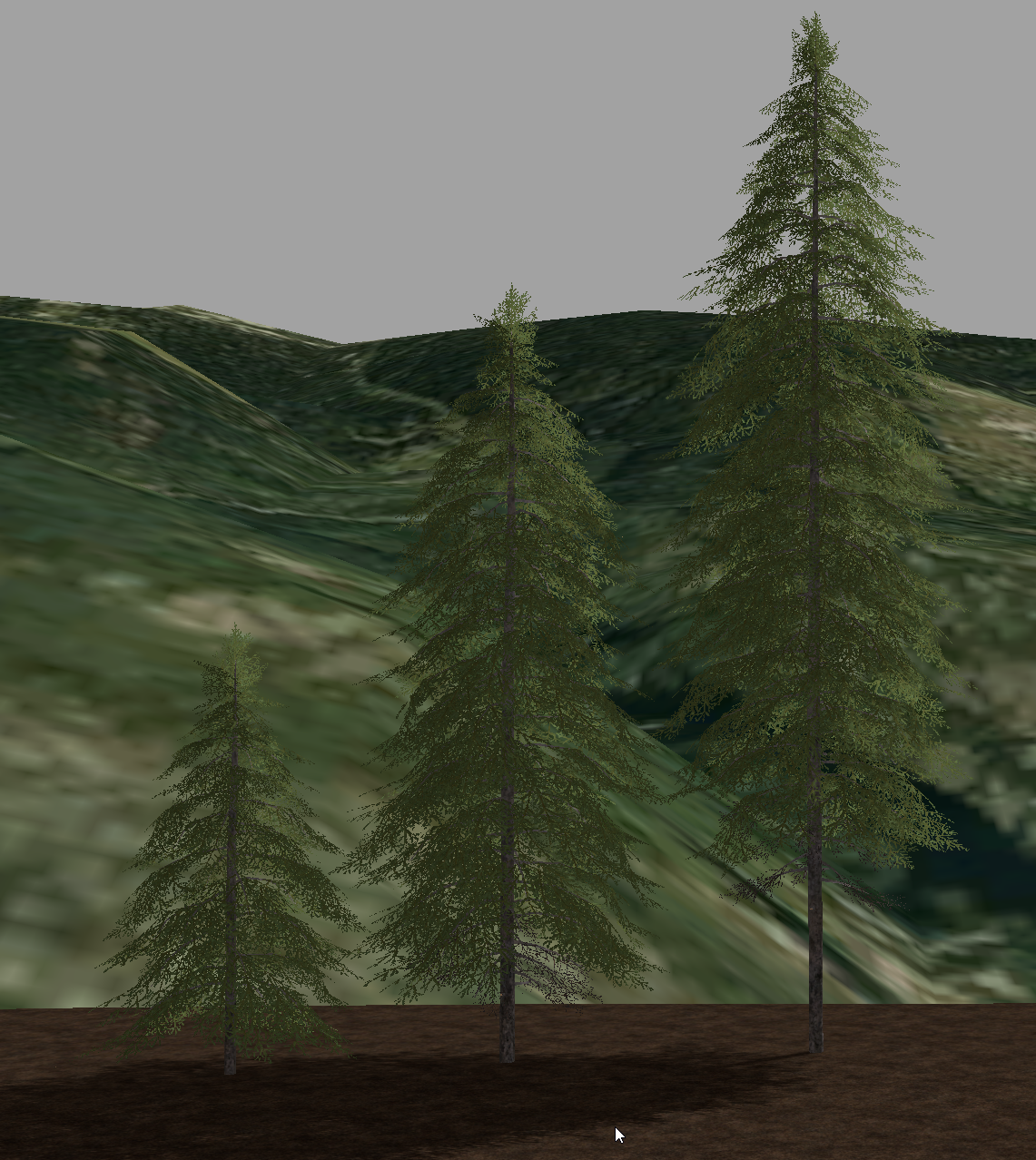 Stage 3, 4 and 5 spruce