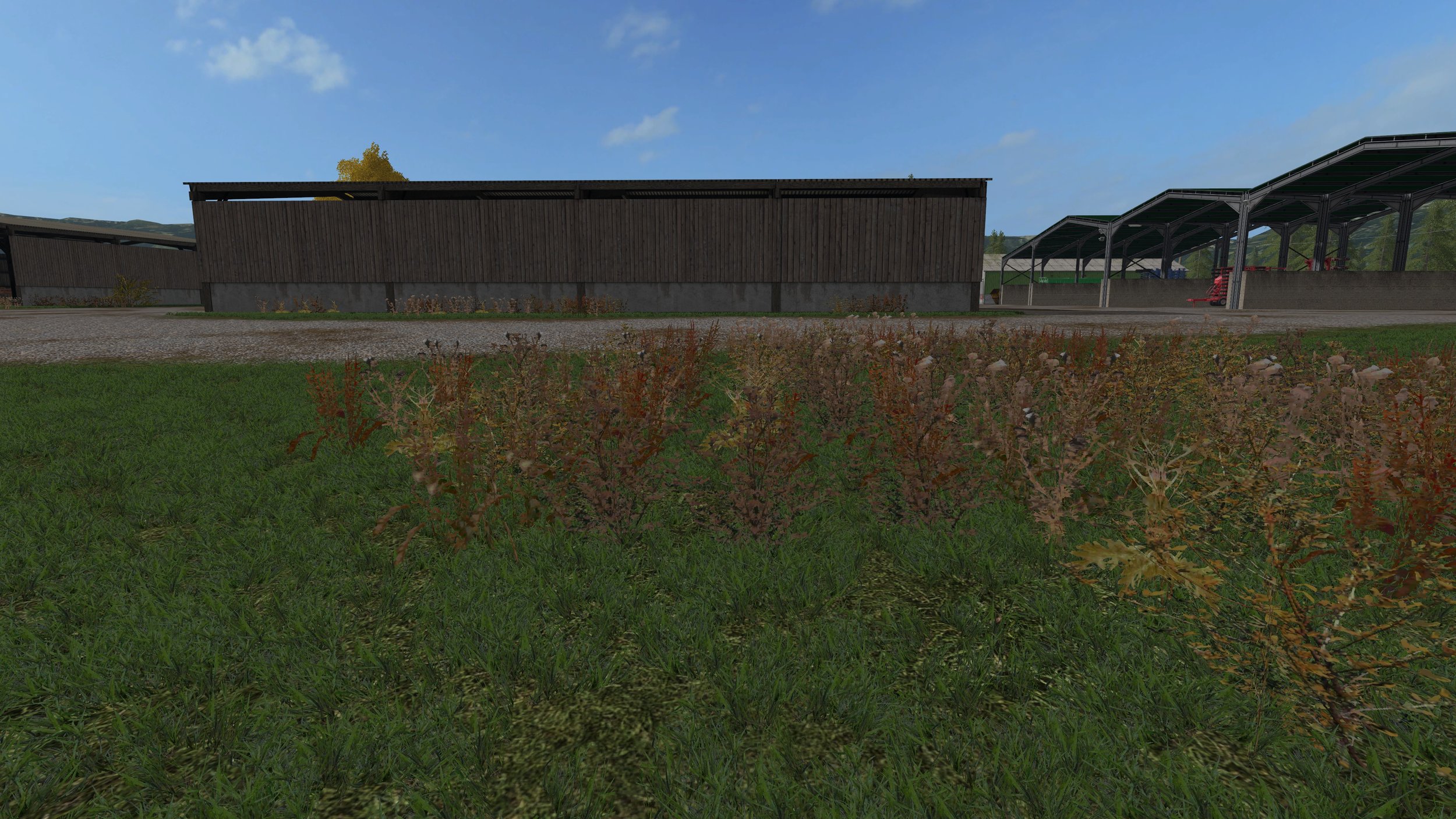 Autumn weeds