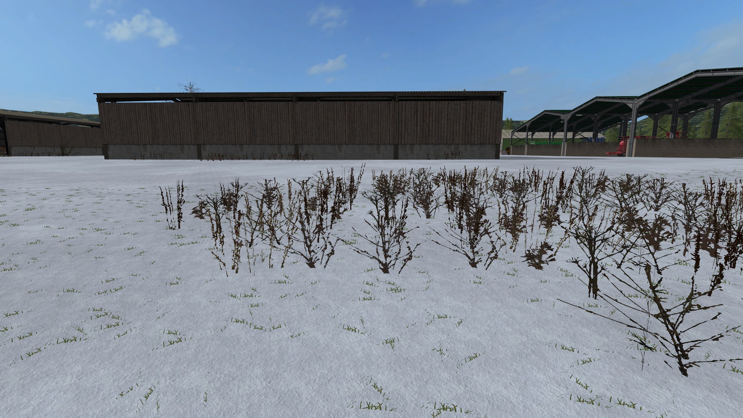 Winter weeds