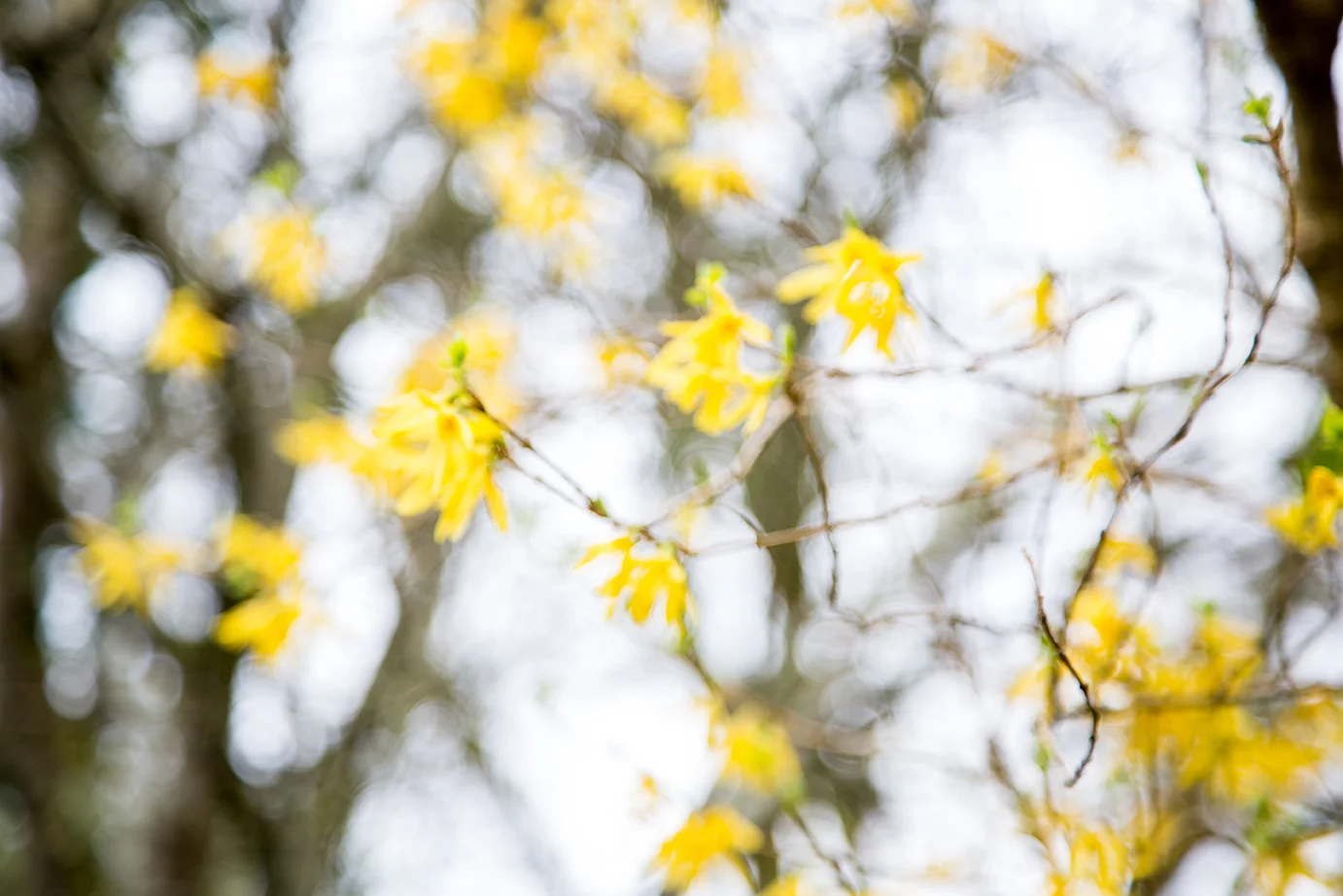 170401_Helensburgh-016.jpg