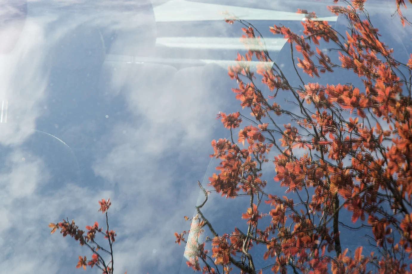 170401_Helensburgh-040.jpg