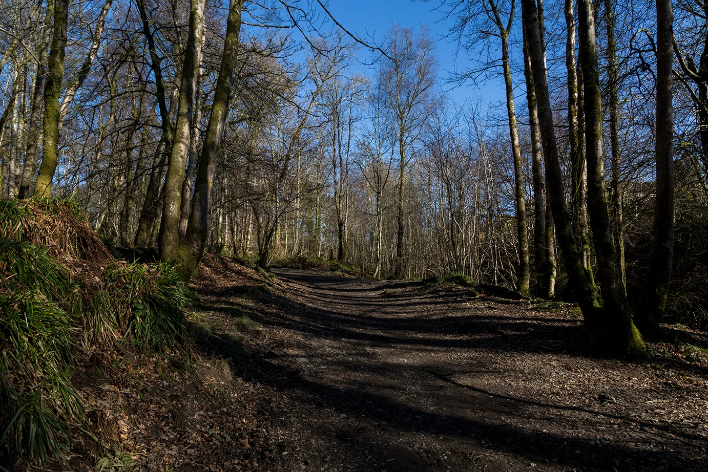 180225-Helensburgh-029.jpg