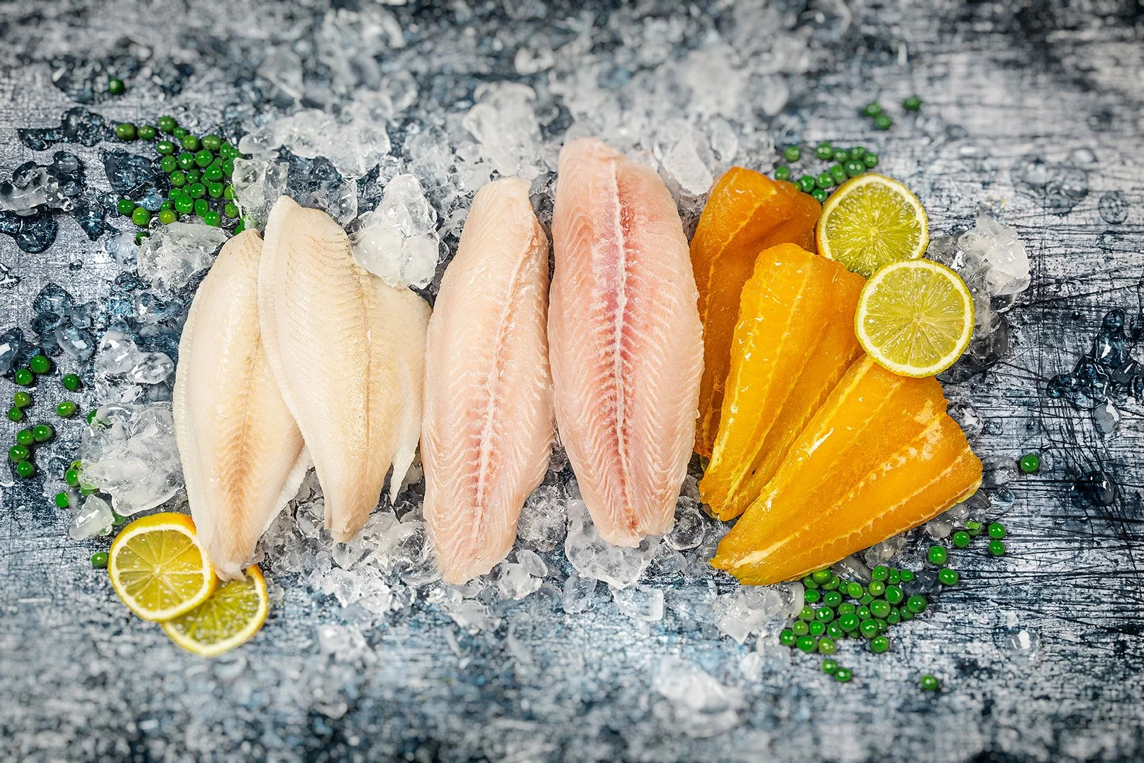 250717-Frozen Fish Flatlay B Subtle Bokeh 2.jpg
