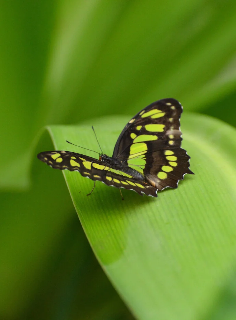 DSC_3131.jpg