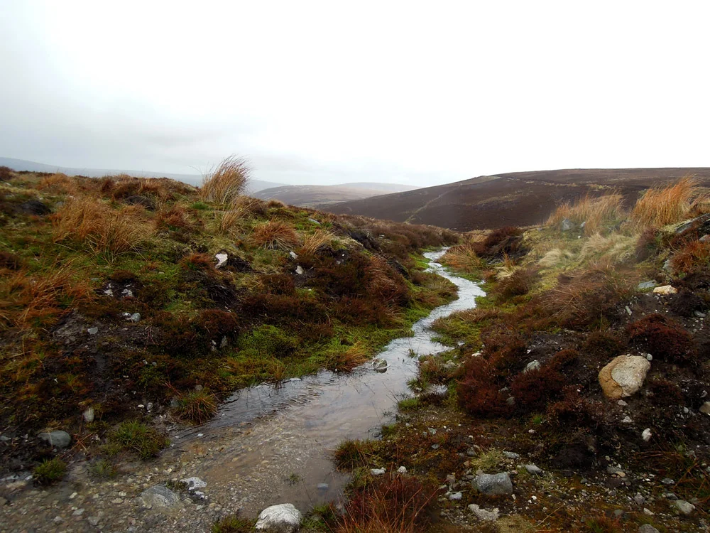 DSCN4627.jpg