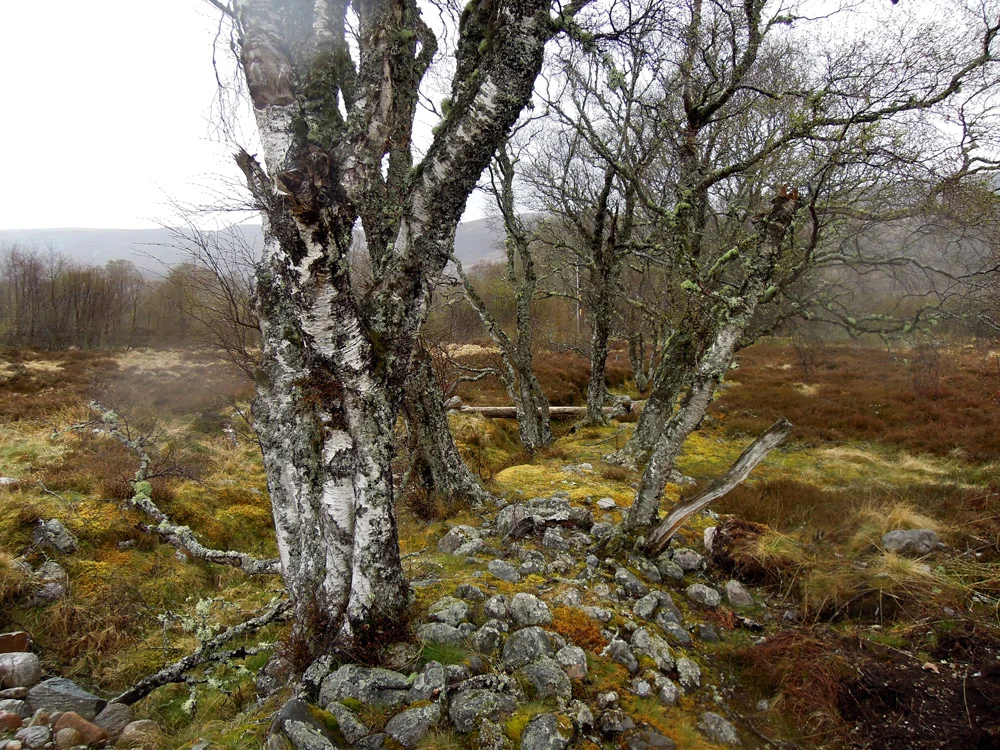 DSCN4633.jpg