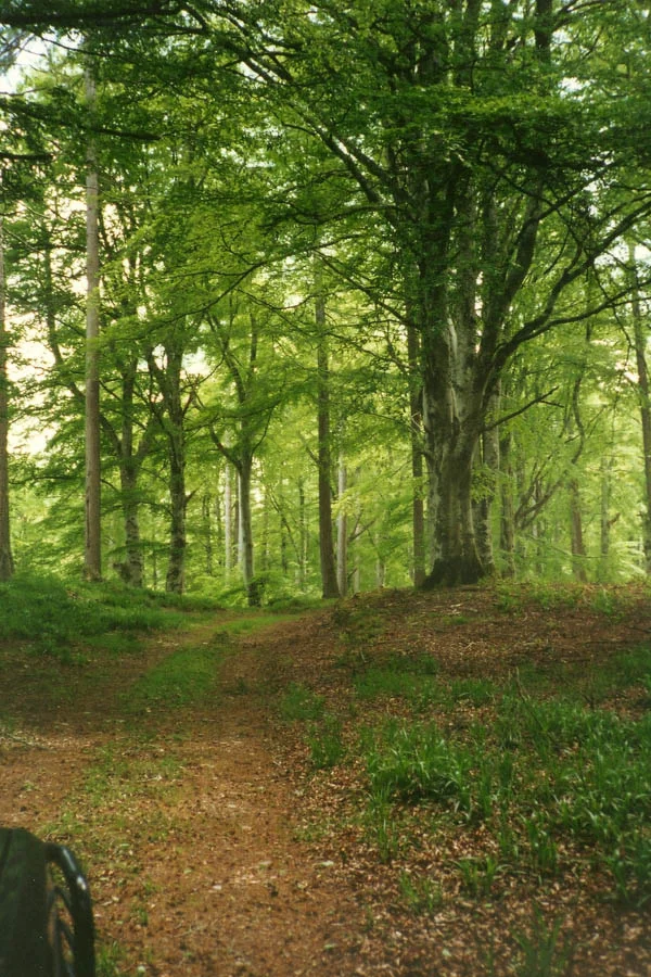 HR-Location-Woodlands-2.jpg