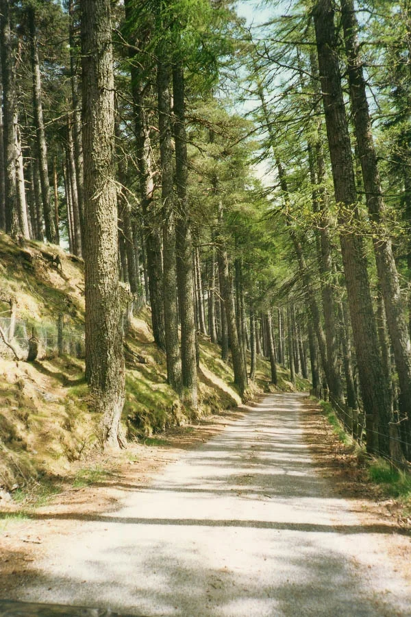 HR-Locations-Road-to-Drynachan.jpg