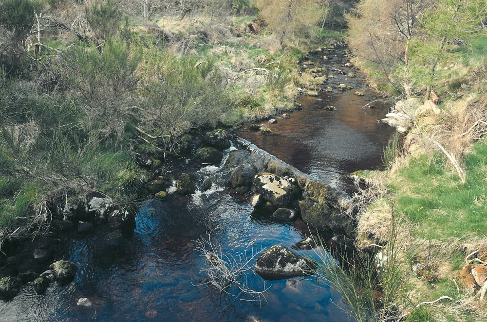 location2.jpg