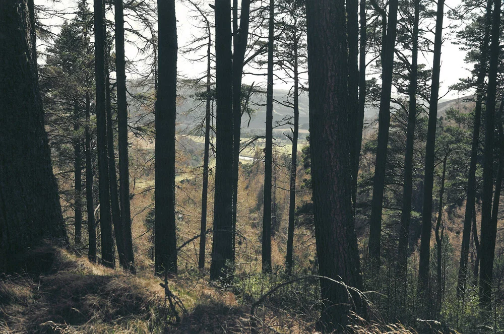 location4.jpg