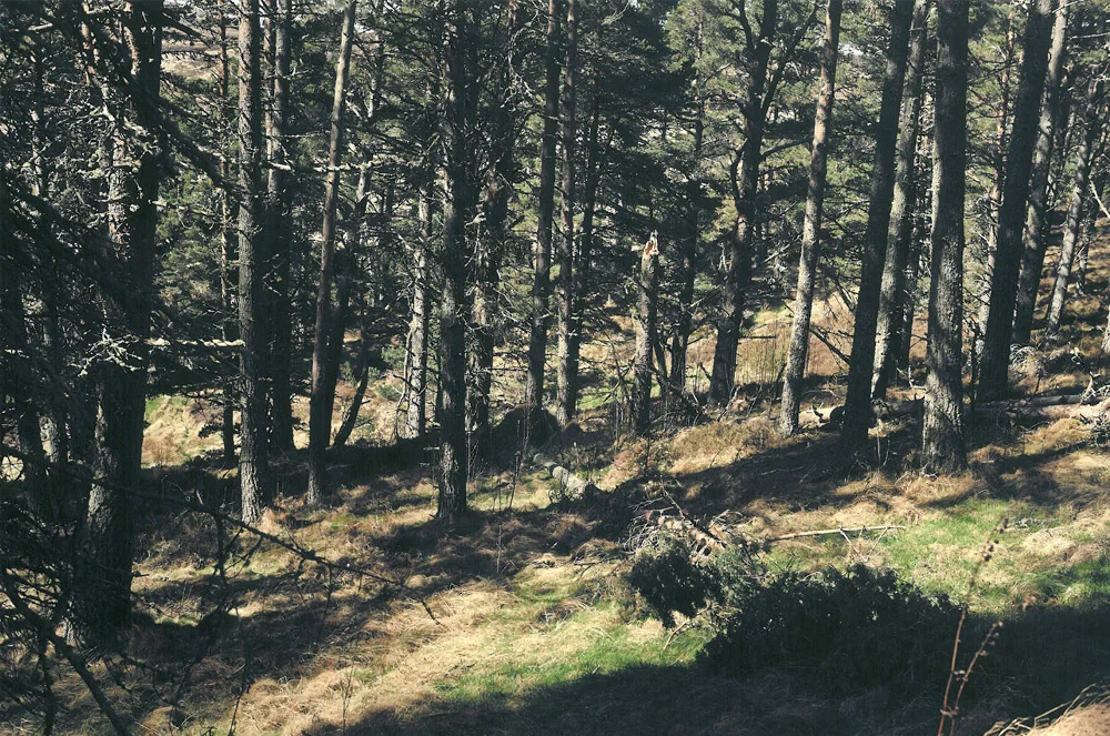 location5.jpg