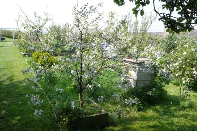 L1010131.jpg