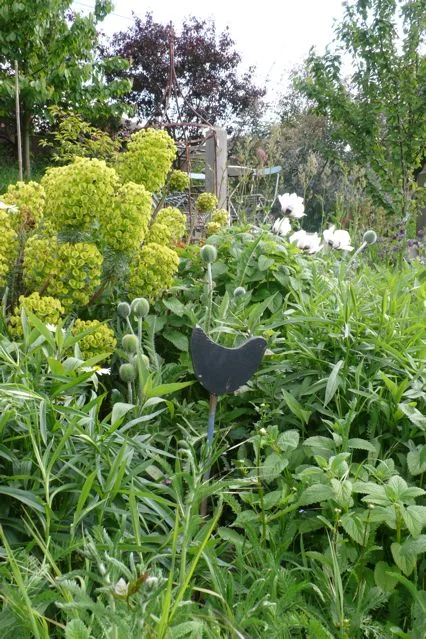 L1010175.jpg
