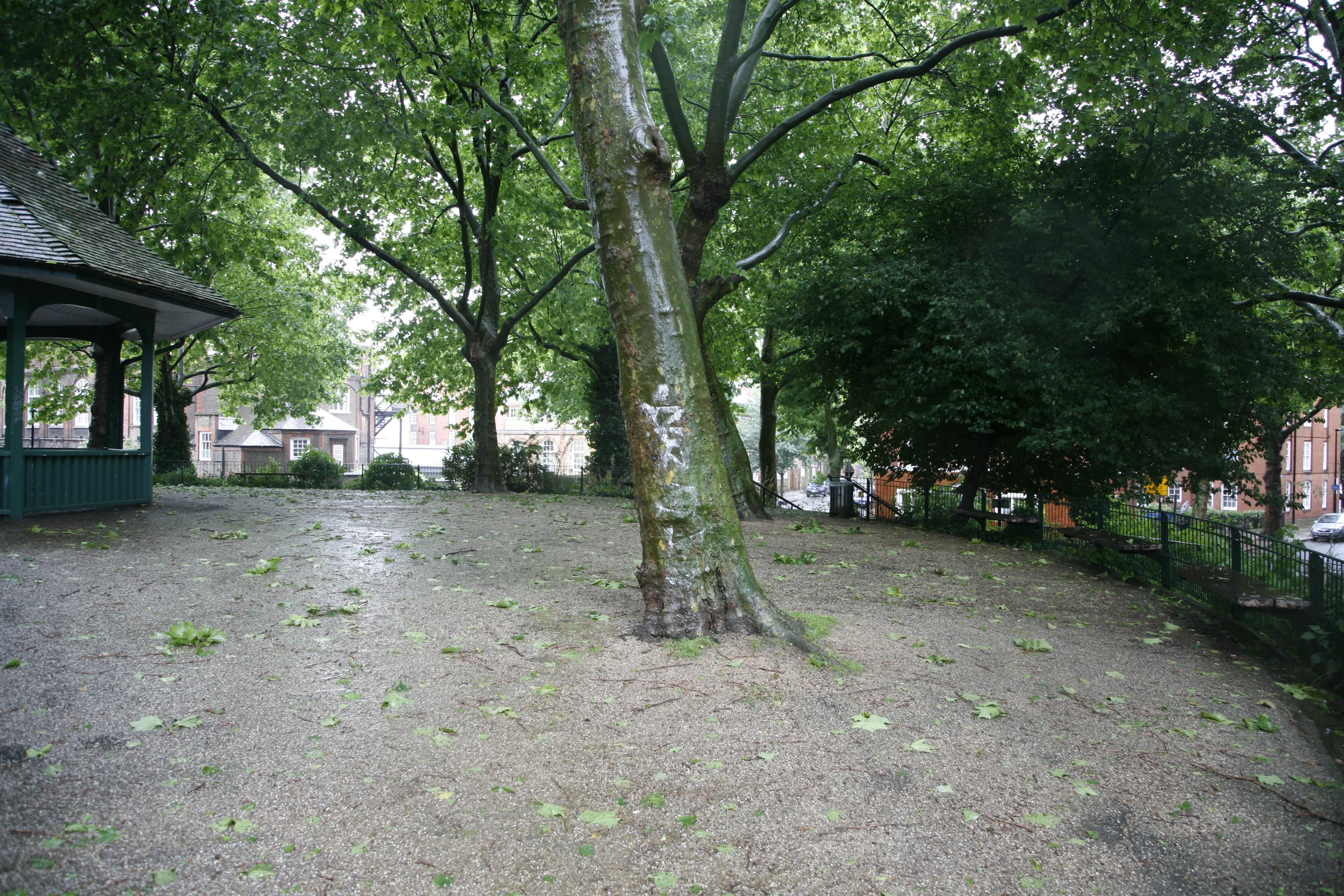 _MG_1526.jpg