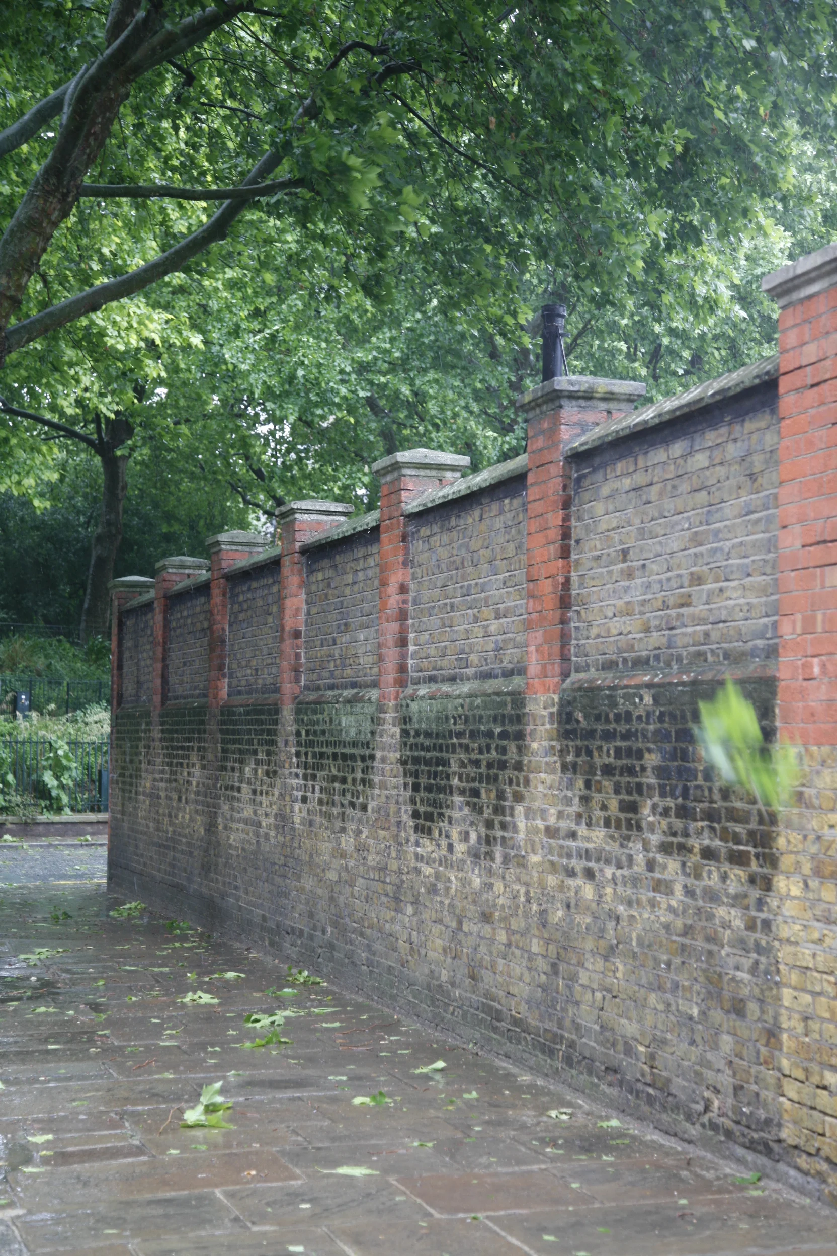 _MG_1562.jpg