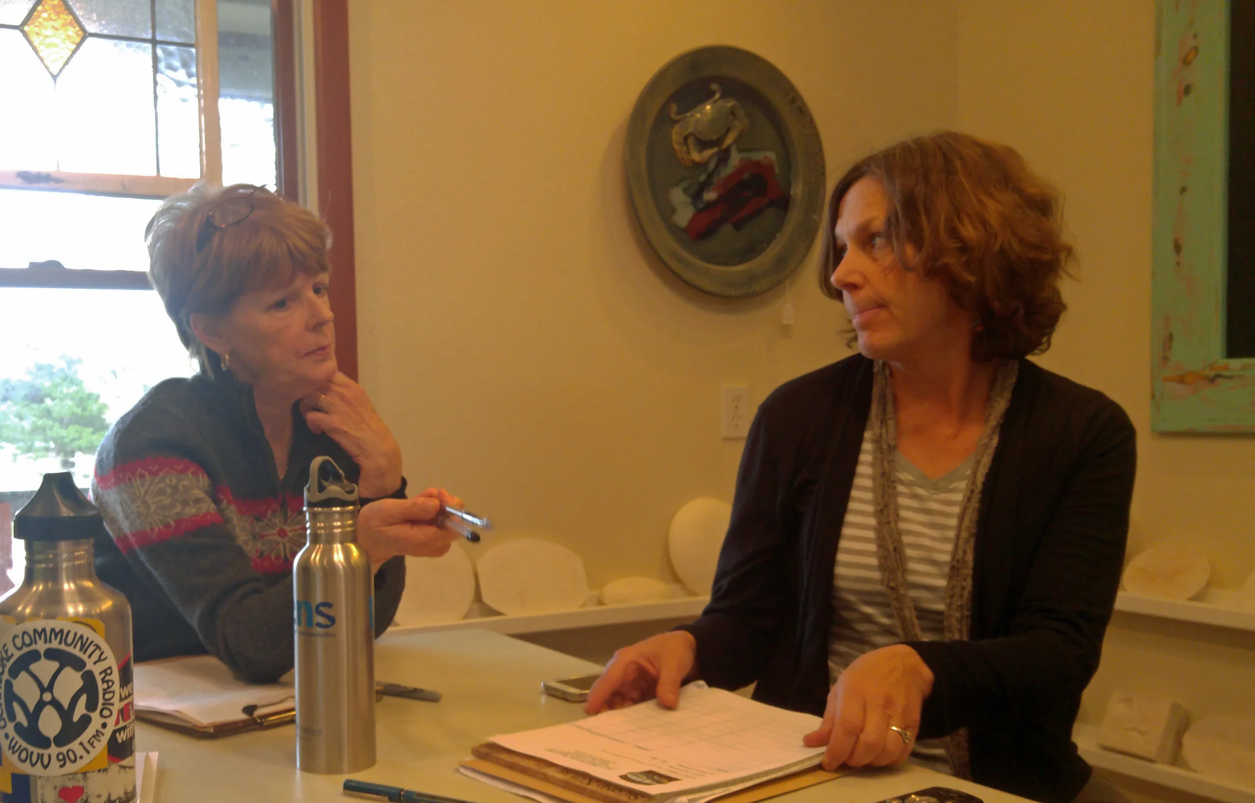 Susan West and Barbara Garrity-Blake conducting an oral history interviewing workshop in Avon in 2016.