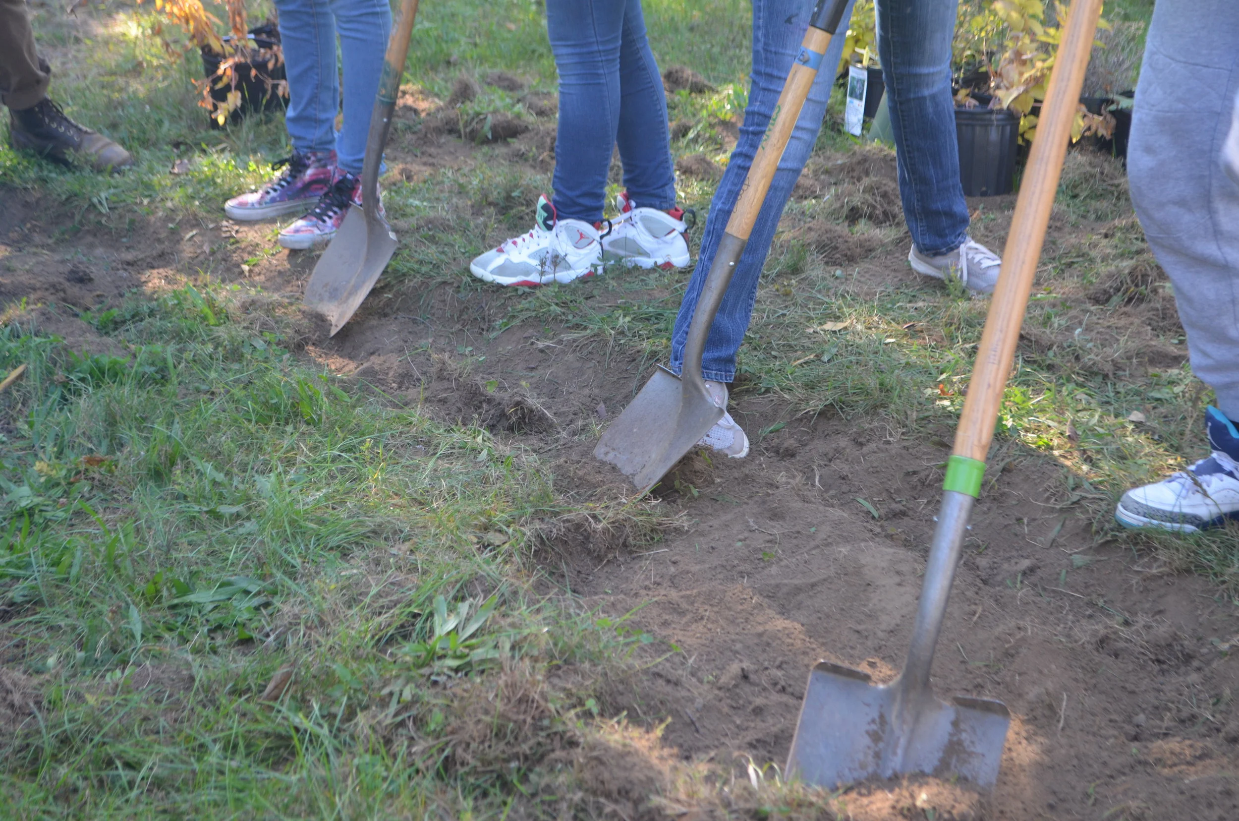 National Volunteer Week
