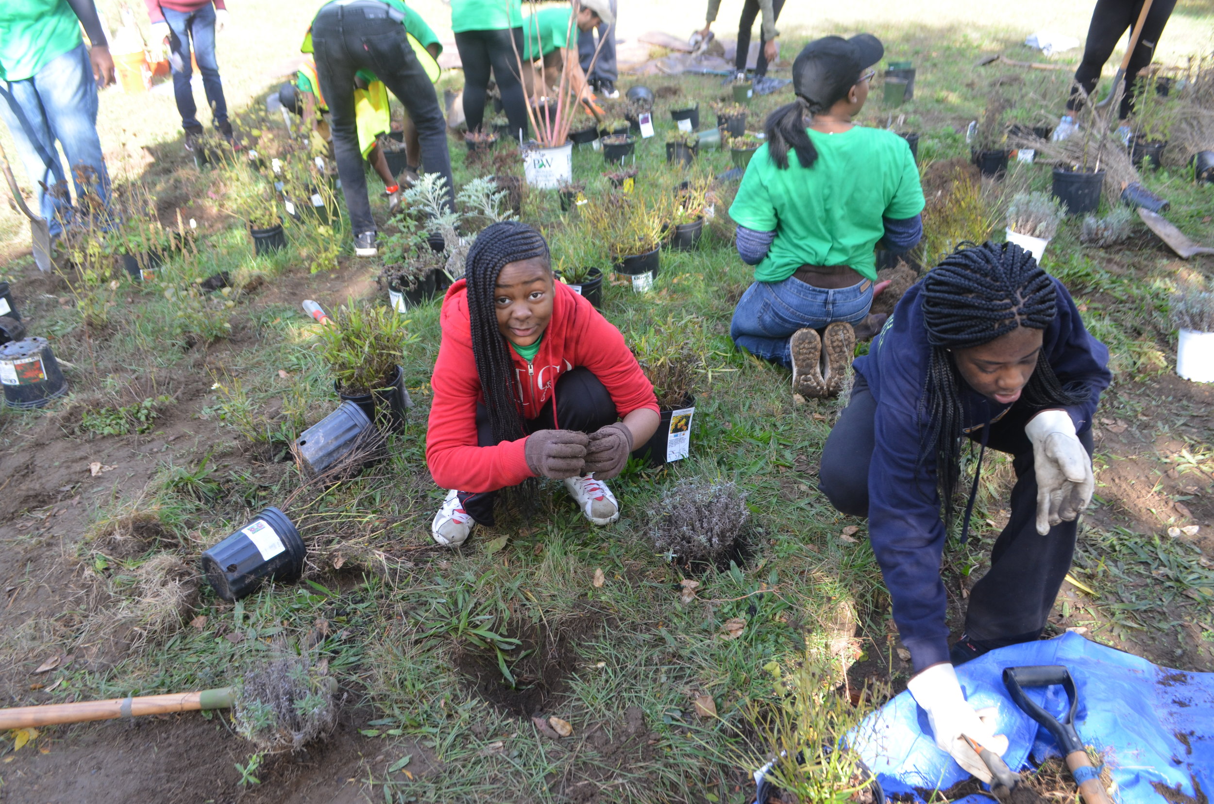 Stewardship Day