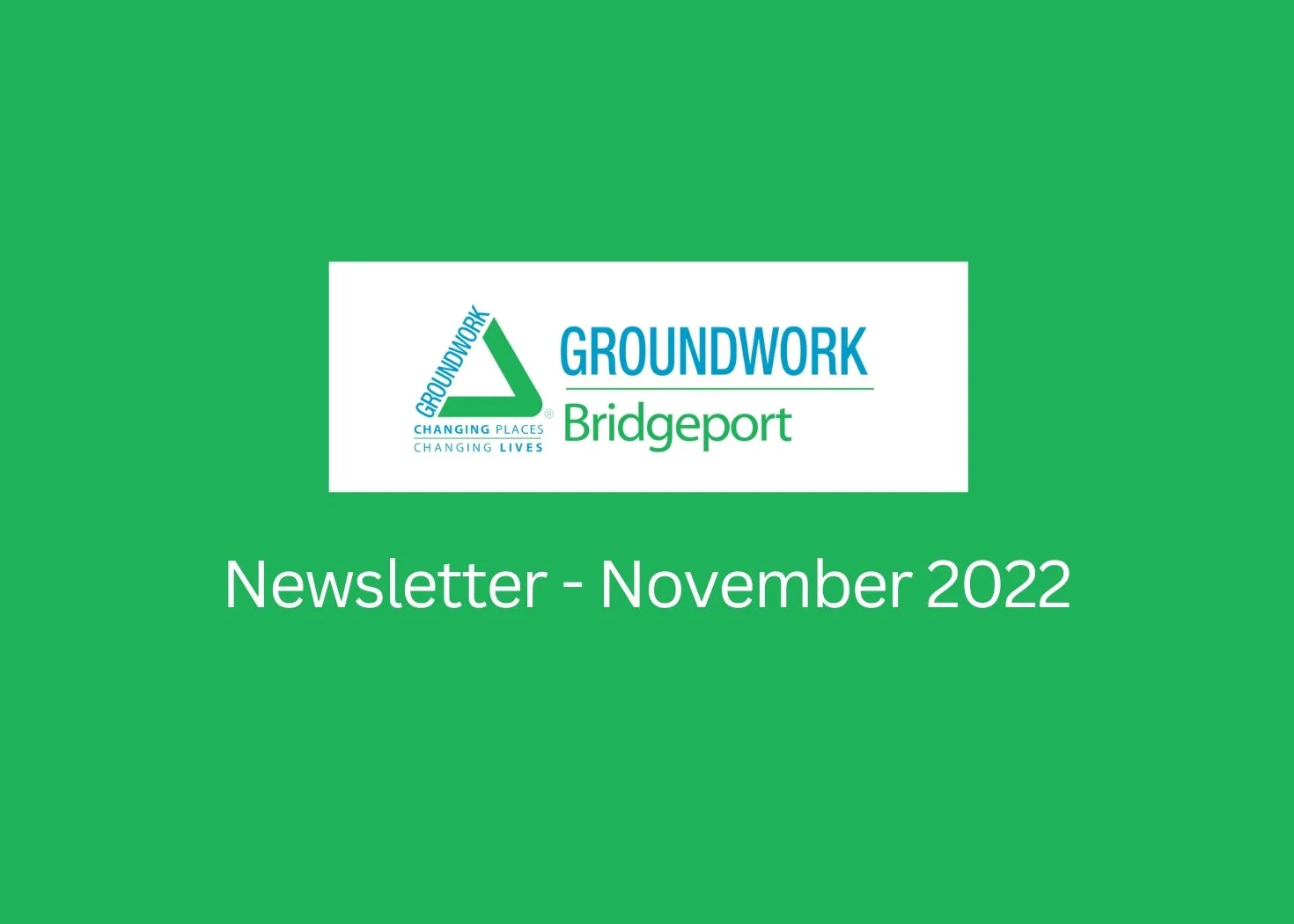 Newsletter - November 2022