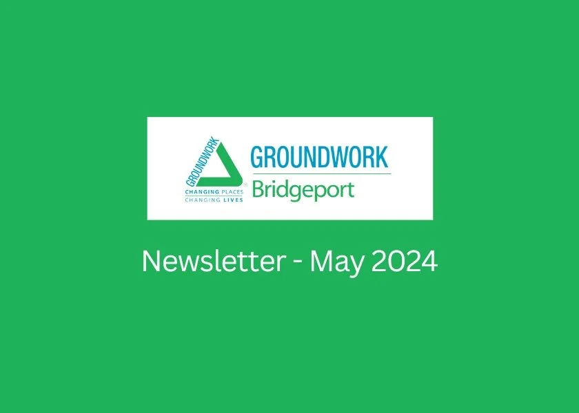 Newsletter - May 2024