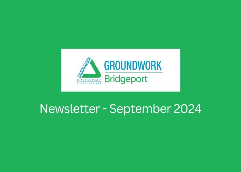 Newsletter - September 2024