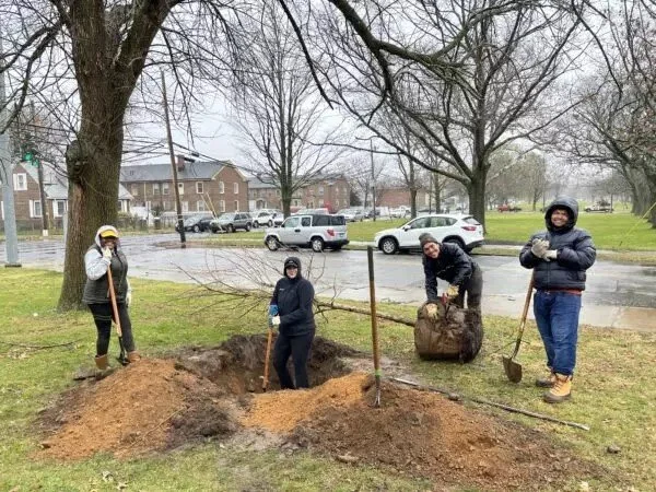 Data Science Institute: "Open Spatial Lab and Groundwork Bridgeport awarded $1.7 million to advance tree planting, data inventory, and assessment tool"