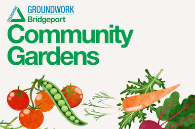 Pequonnock St. Garden Trash Pick Up