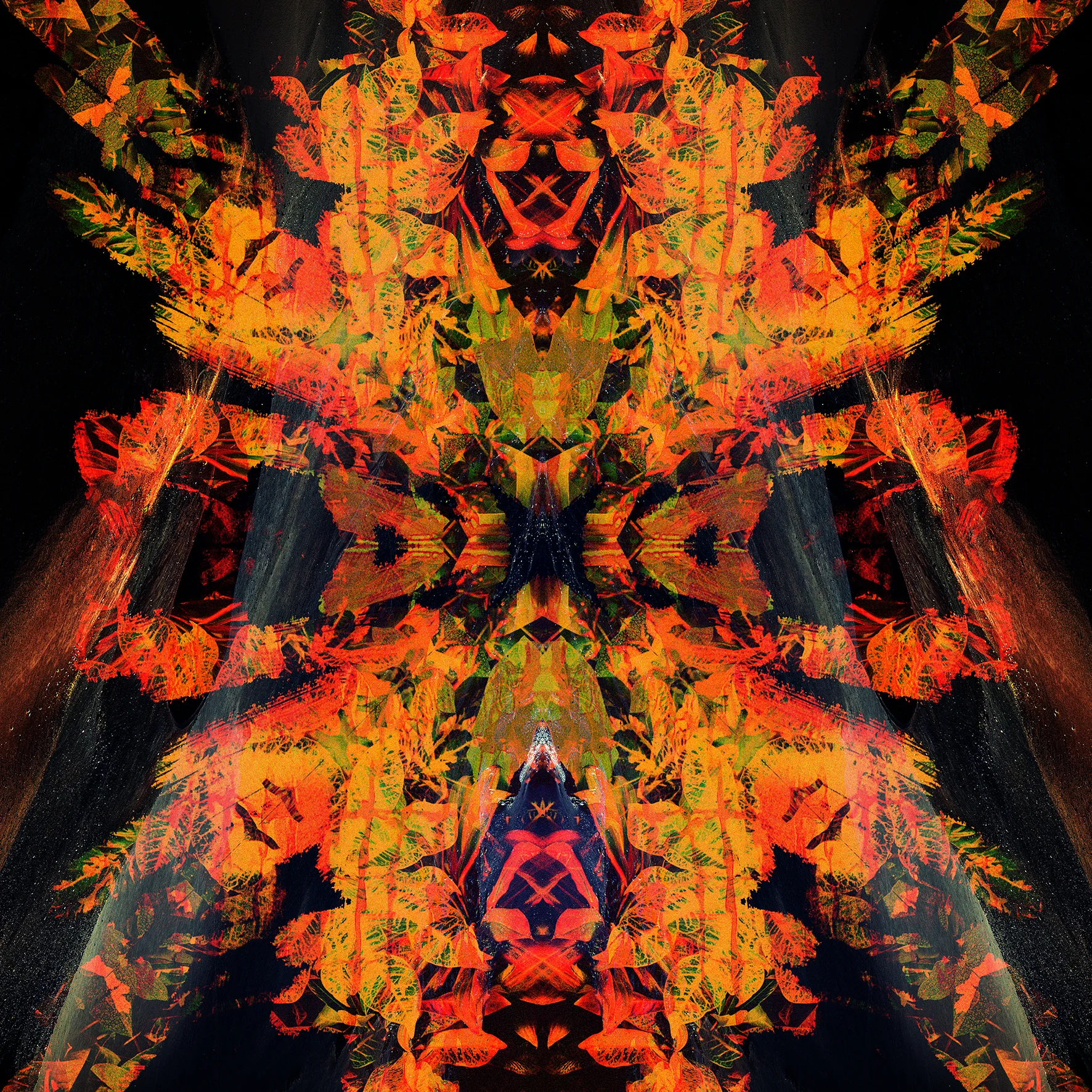 Biotope Psychique